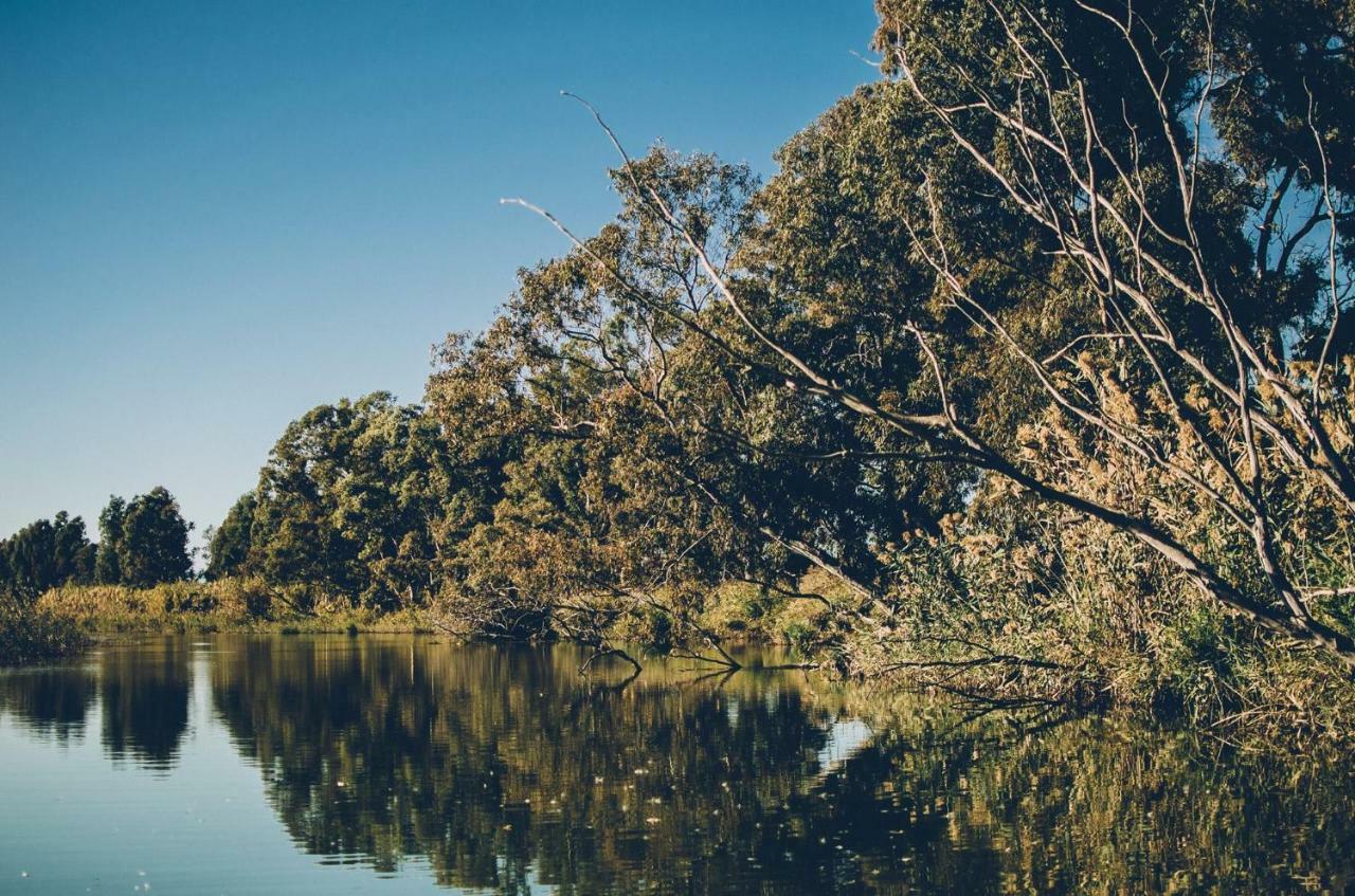 Villa Fernweh - Delta De L'Ebre Riumar Bagian luar foto