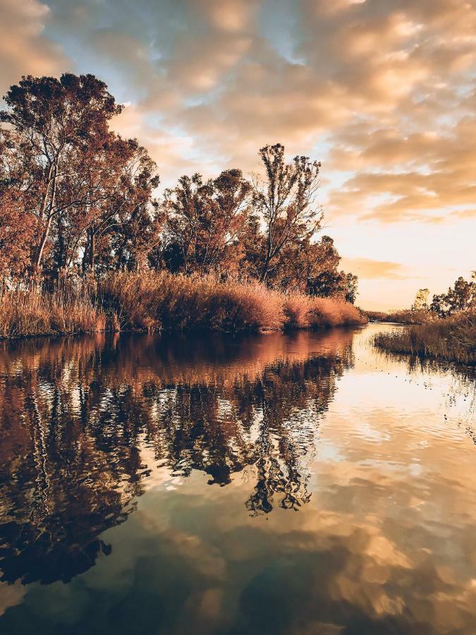 Villa Fernweh - Delta De L'Ebre Riumar Bagian luar foto