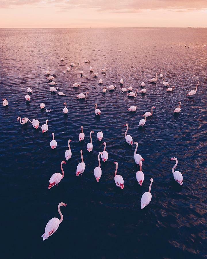Villa Fernweh - Delta De L'Ebre Riumar Bagian luar foto